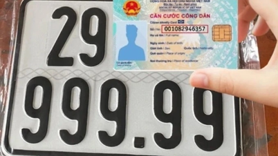 After July 1, 2025, how will license plates in 34 provinces and cities be issued?