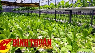 Đức Linh: Nhiều mô hình ra đời từ phong trào thi đua “Dân vận khéo”
