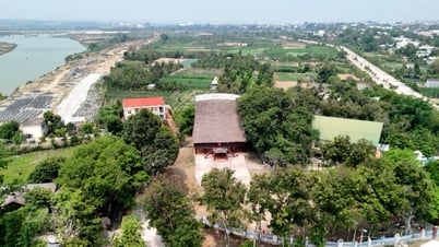 숲과 바다의 합창