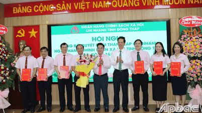 ประกาศการตัดสินใจจัดตั้งสาขาจังหวัดด่งท้าปของธนาคารเพื่อนโยบายสังคมเวียดนาม