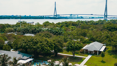 Du lịch miền Tây mùa hè – Hành trình nghỉ dưỡng đẳng cấp từ Thành phố Hồ Chí Minh đến vùng sông nước Mê Kông