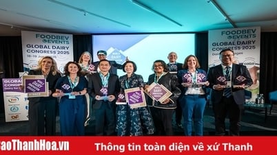 Vinamilk a remporté deux prix internationaux pour le « contenu » et la « forme », quelle est la particularité de ce produit « champion » ?
