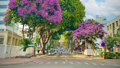 Pleiku, the land of memories...