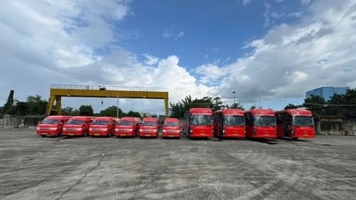 Công ty Phương Trang đưa đón miễn phí công chức từ Bình Dương, Vũng Tàu lên TPHCM
