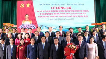 Đồng chí Nguyễn Hồ Hải làm Bí thư Tỉnh ủy Cà Mau mới