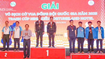 Kien Giang a remporté 5 médailles au championnat national d'échecs par équipe
