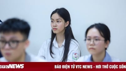 Công thức quy đổi điểm IELTS vào hơn 60 trường đại học 2025
