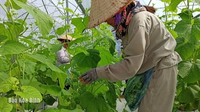 Promover la reestructuración del sector agrícola hacia la sostenibilidad