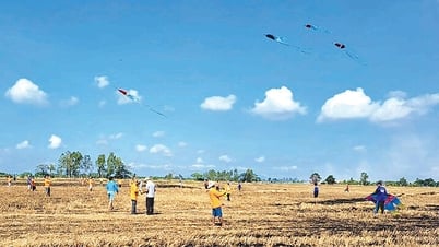 田舎の夏