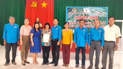 Tuong Da farmers actively participate in digital transformation
