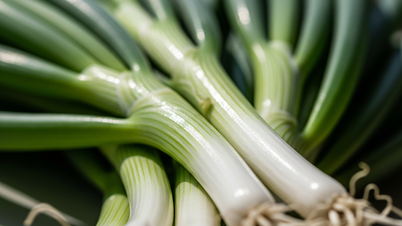 Nouvelle journée avec des nouvelles sur la santé : le légume « à manger tous les jours » prévient de manière inattendue le cancer