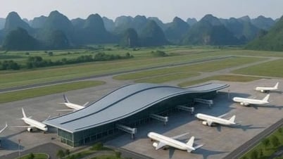 Évaluer de manière exhaustive la proposition de construction d'un aéroport et d'infrastructures de transport à Ninh Binh