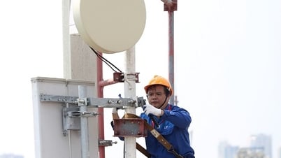 Phê duyệt các hợp phần tích hợp vào quy hoạch thành phố Đà Nẵng thời kỳ 2021-2030, tầm nhìn đến 2050
