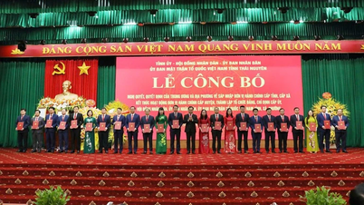 Thai Nguyen : Annonce de la création d'unités administratives au niveau provincial et communal