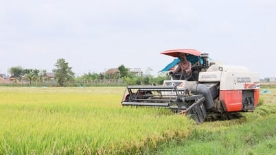 Chuyển từ “xây dựng” sang “kiến tạo”: Tư duy mới cho nông thôn mới