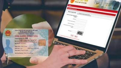 Hướng dẫn cập nhật số định danh thành mã số thuế