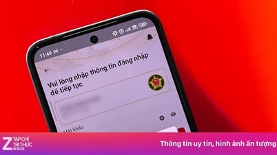 Nhiều người vào xem địa phương mới, VNeID khó truy cập