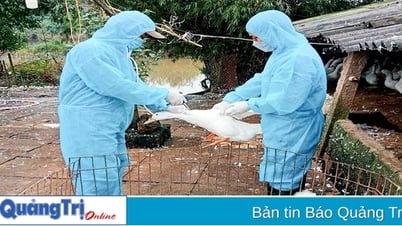 Förderung der Impfung von Nutztieren