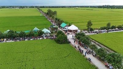 พื้นที่ชนบทใหม่ขั้นสูง - รากฐานที่มั่นคงสำหรับพื้นที่ชนบทสมัยใหม่