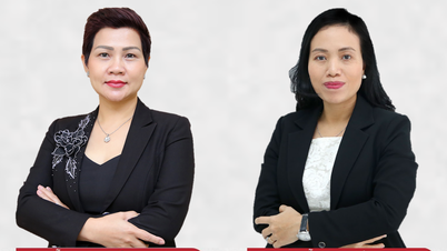 VAS – Die Pionierschule beim Aufbau einer internationalen zweisprachigen Grundlage in Vietnam