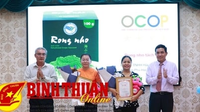 ការអភិវឌ្ឍន៍ OCOP៖ ការកែលម្អគុណភាពផលិតផល ការពង្រីកទីផ្សារ