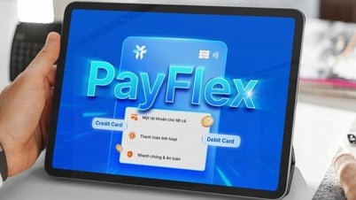 يقدم بنك VIB خدمة PayFlex، الرائدة في نشر تقنية Visa Flex Credential في فيتنام
