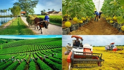 Noticias Económicas - Mercado 26 de junio de 2025: El censo rural y agrícola de 2025 a nivel nacional se realizará a partir del 1 de julio