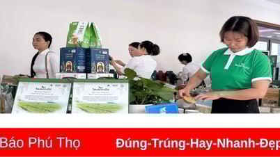 ช่วยให้ผู้หญิงมีความมั่นใจและเป็นอิสระทางการเงิน