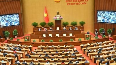 Resoluciones de la Asamblea Nacional y de la Comisión Permanente de la XV Asamblea Nacional