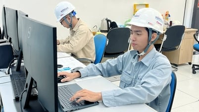 مواصلة تعزيز جذب الاستثمار