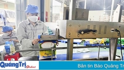 Стандартизация электронной прослеживаемости для улучшения сельскохозяйственной продукции