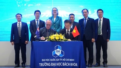 Đào tạo nguồn nhân lực công nghệ theo chuẩn quốc tế, tại Việt Nam