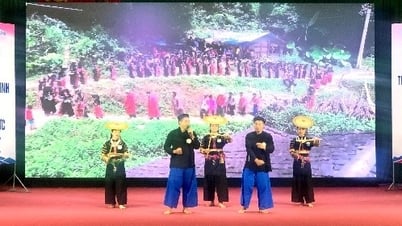 지방에서 8번째 프로젝트가 효과적으로 시행됨 - Cao Bang 전자신문