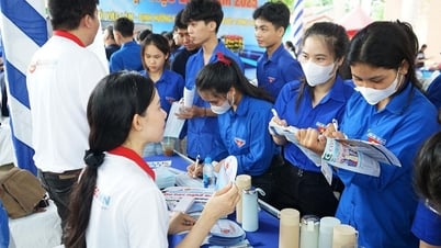 Cầu nối sinh viên với doanh nghiệp