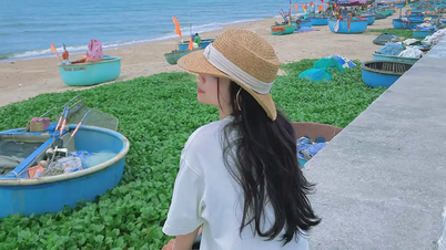 Một ngày du lịch Phước Hải - Hồ Tràm có những trải nghiệm gì thú vị?