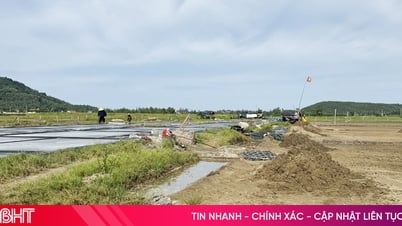 Muối rẻ, đất bỏ hoang, diêm dân không còn mặn mà!