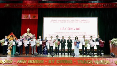 ลางซอน ประกาศมติจัดหน่วยงานบริหาร