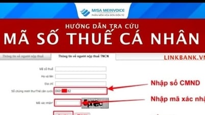 Từ ngày mai (1-7), mỗi cá nhân chỉ có một mã số thuế duy nhất