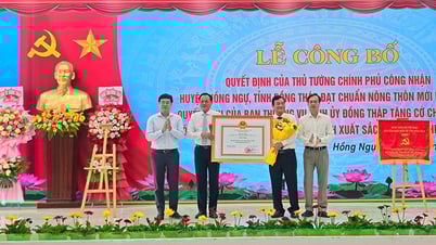 อำเภอหงงูได้รับชื่ออำเภอชนบทใหม่และธงคณะกรรมการพรรคประจำจังหวัด