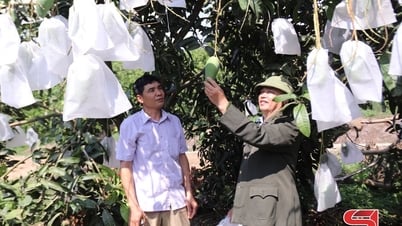 Quan tâm hỗ trợ hợp tác xã phát triển
