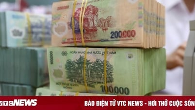 Cơ quan thuế cảnh báo về các yêu cầu cập nhật địa chỉ mới qua điện thoại