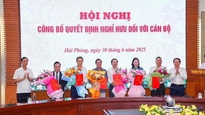 Công bố Quyết định nghỉ hưu đối với các đồng chí cán bộ lãnh đạo diện Bộ Chính trị, Ban Bí thư, Ban Thường vụ Thành ủy Hải Phòng quản lý