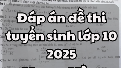 2025년 흥옌성 10학년 수학 입학시험 답안