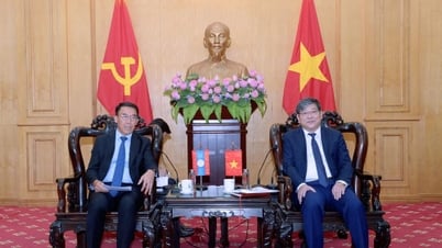 Việt Nam - Lào thúc đẩy hợp tác đào tạo cán bộ và phát triển nguồn nhân lực chất lượng cao