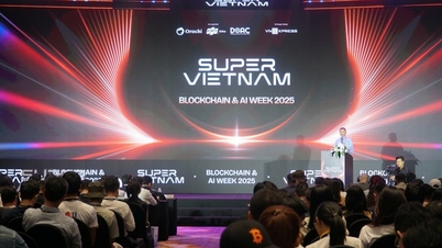 Da Nang will digitale Finanzdienstleistungen stark ausbauen