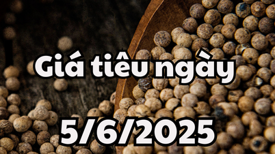 ข่าว คาดการณ์ราคาพริกพรุ่งนี้ 5 มิ.ย. 68 ทรงตัวในประเทศ