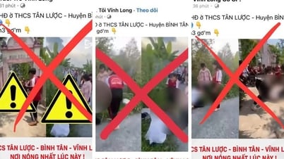 Что говорит школа о двух видеороликах, на которых видно, как ученицы школы Виньлонг подвергаются избиению группой людей?
