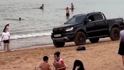 투이호아 해변에서 픽업트럭을 운전한 운전자가 기소되었습니다.