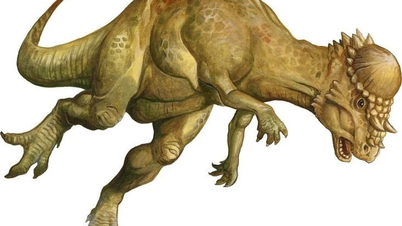 Mysterious "stone-headed" dinosaur with 25cm thick skull