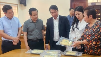 Đẩy mạnh các hoạt động xúc tiến thương mại kết nối tiêu thụ sản phẩm nông sản, sản phẩm OCOP giữa thành phố Hải Phòng và Cần Thơ